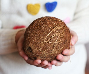 How to store whole and split coconut at home Як зберігати кокос