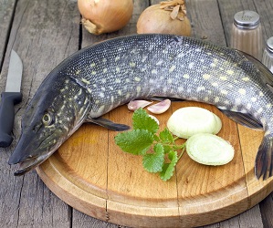 How to store pike at home Як зберігати щуку в домашніх умовах