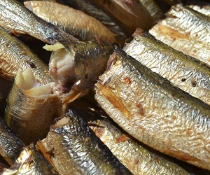 How to store sprats как хранить шпроты