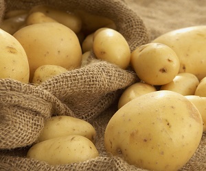 How to store potatoes in an apartment and a private house картофель
