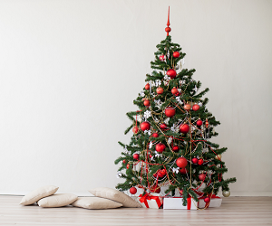 How to choose a Christmas tree: live or artificial Як вибрати новорічну ялинку