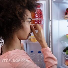 Cómo deshacerse del olor a carne podrida en la casa
