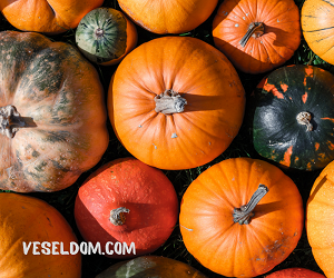 How to properly store pumpkin in the apartment in winter Як зберігати гарбуз взимку в квартирі правильно
