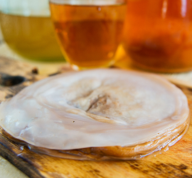 Cómo conservar la kombucha correctamente