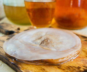 How to store kombucha correctly Як зберігати чайний гриб правильно