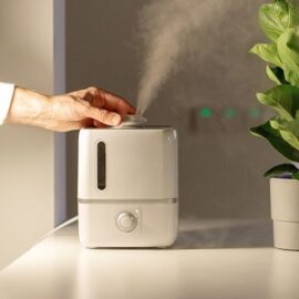 ¿Por qué necesitas un humidificador en el apartamento?